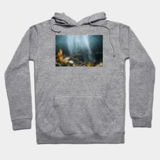 East Java Waterfall Hoodie